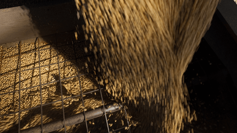 Soybean Processing