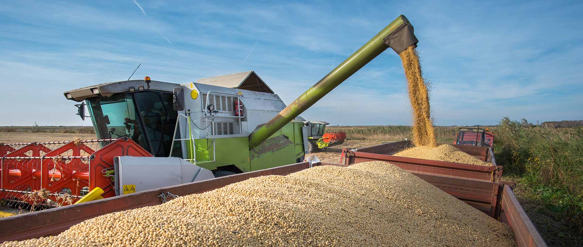 The Disconnected U.S. Soybean Value Chain