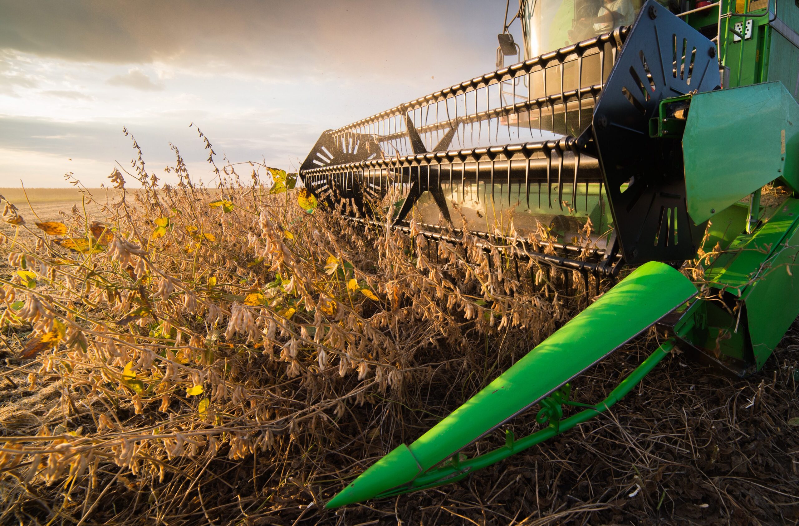 The Positive Momentum of Sustainable U.S. Soy