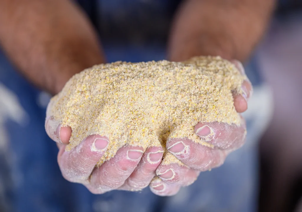 Plenish® Full-Fat Soybean Meal Roasting & Processing Survey