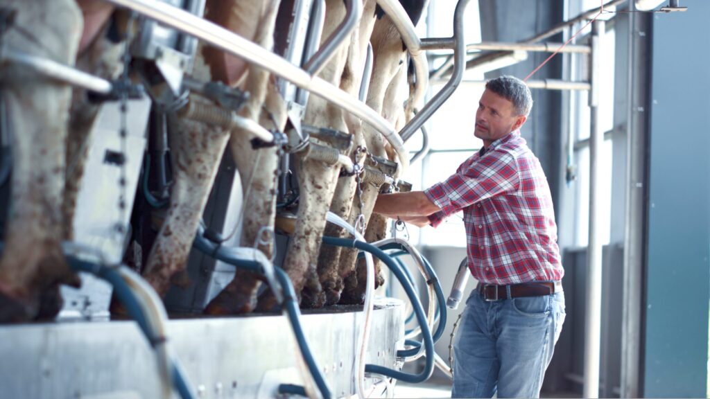 Progressive Dairy Podcast: Interview with Dairyman Jacob Twohey