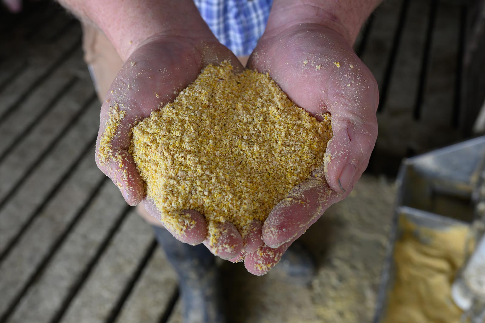 Soybean meal processing: How to get more out of the bean