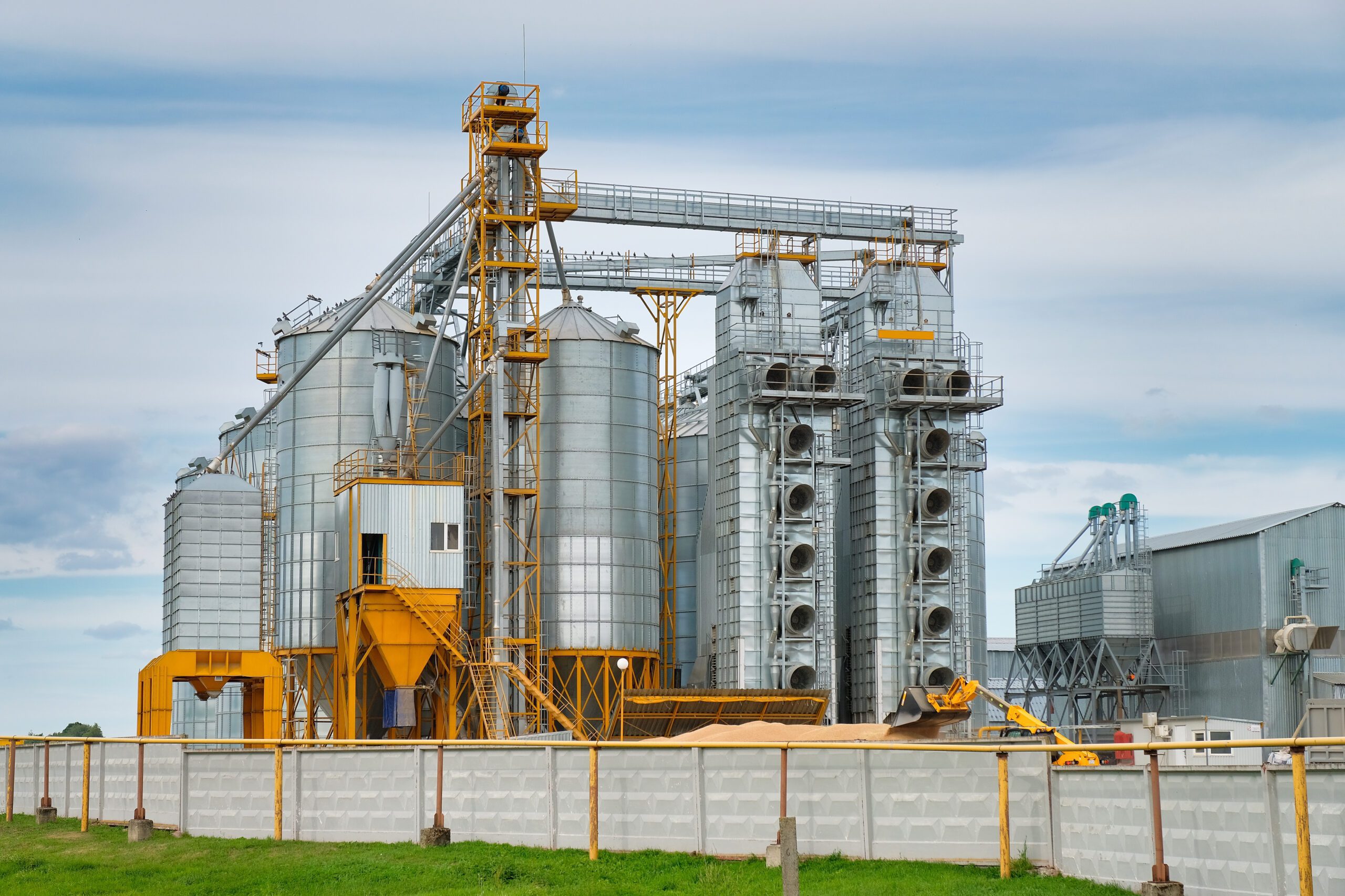 Determining the efficacy of a large-scale soybean saponin extraction process