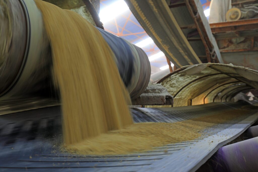 The crude protein fallacy: Rethinking how soybean meal quality is measured