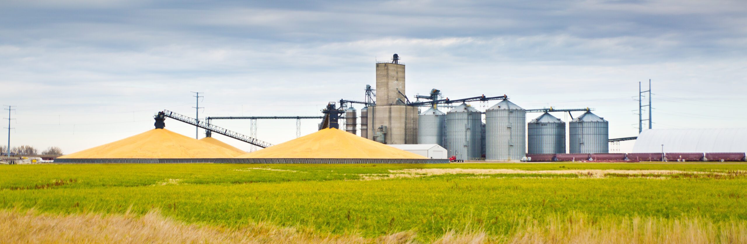 Over-processing of Soybean Meal