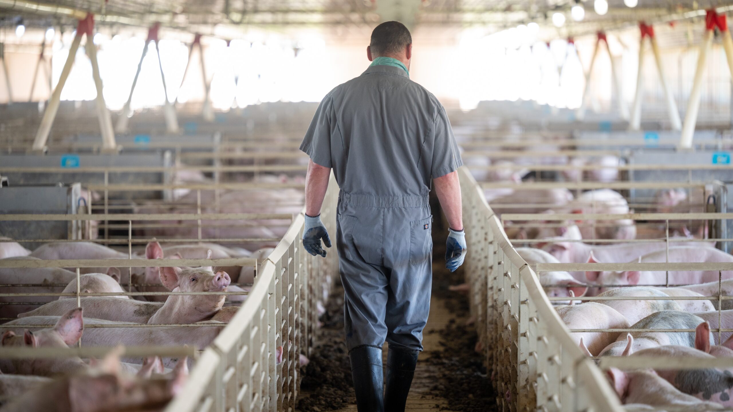 U.S. farmers producing more food with smaller footprint