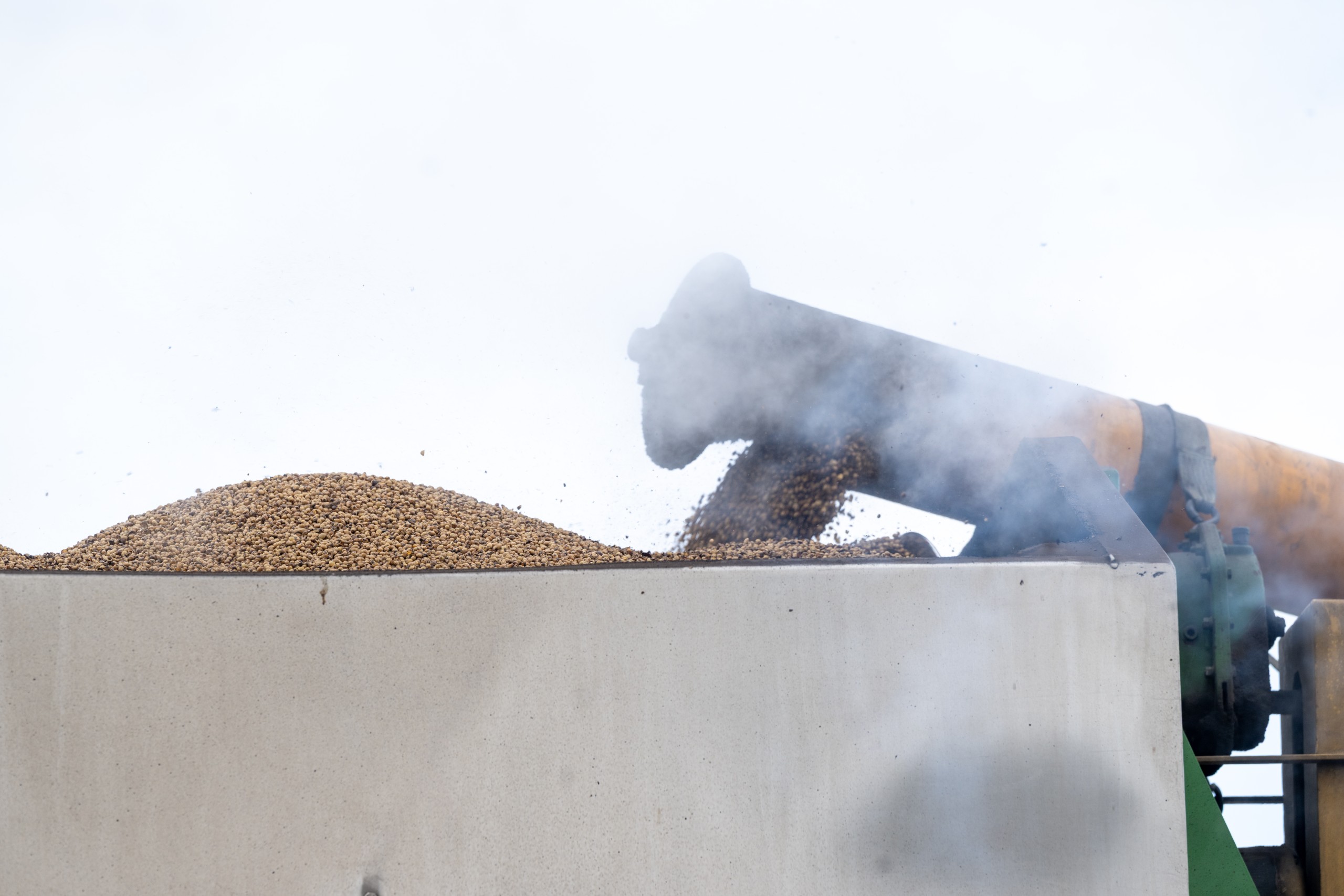 Farmers urged not to rush into soybean roasting