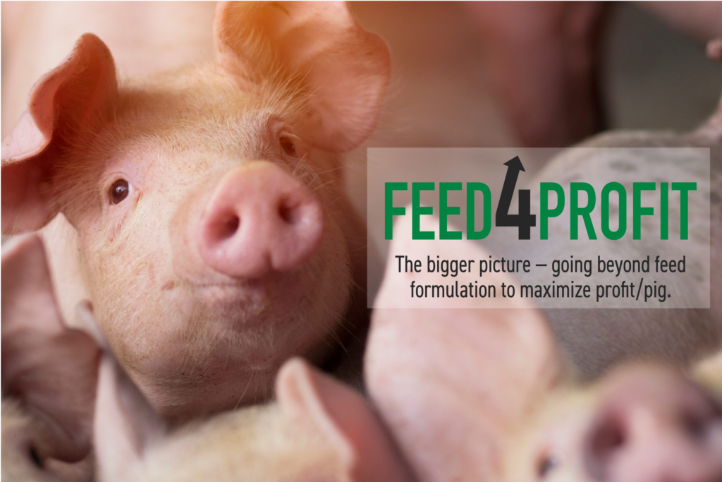 Introducing FEED4PROFIT, an online modeling tool to help maximize pig profitability